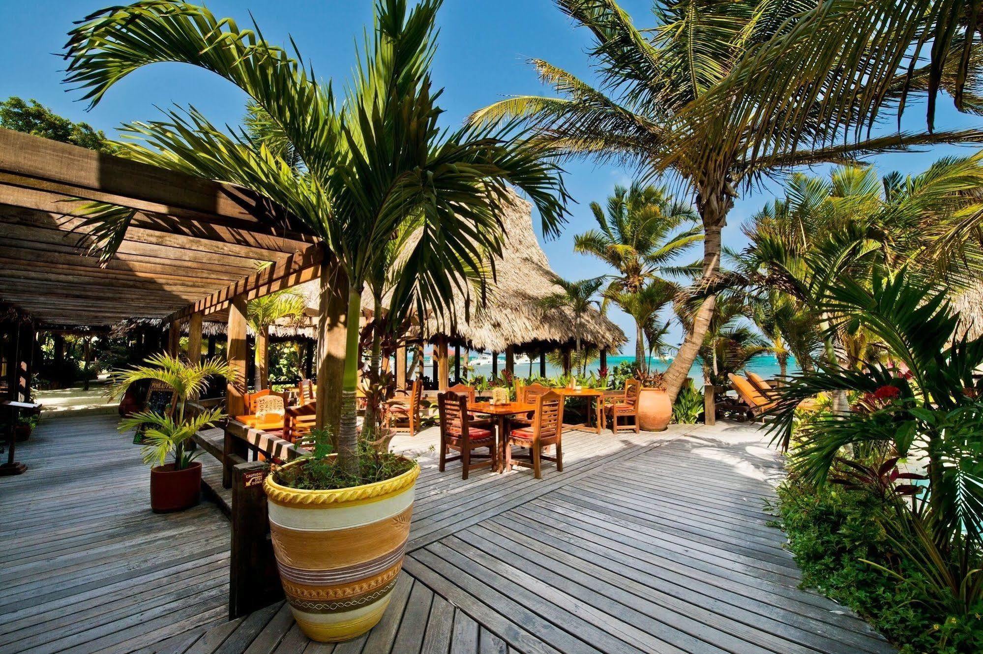 Ramons Village Resort San Pedro  Dış mekan fotoğraf